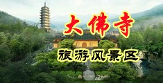 www.caoshaofu中国浙江-新昌大佛寺旅游风景区